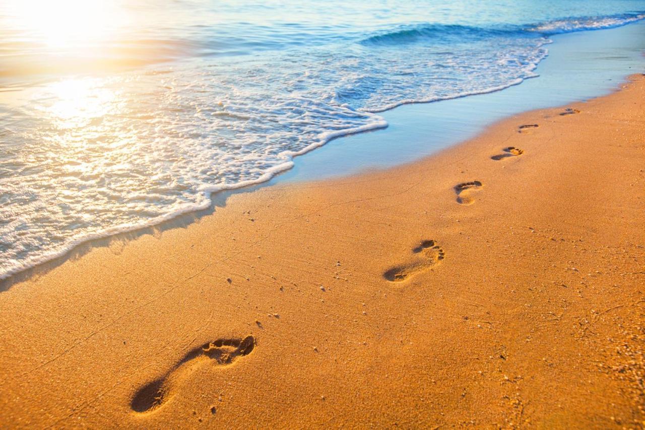 Luxury Beachfront Penthouse Walk To The Beach Restaurants Entertainment 할프 문 베이 외부 사진